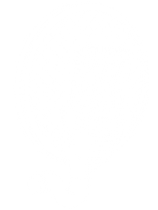 Ein Großmembran-Mikrofon mit einem sog. Popschutz zum Aufnehmen von Podcasts